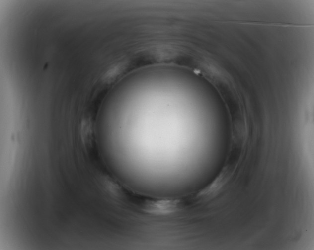 X0000086110184200703301245