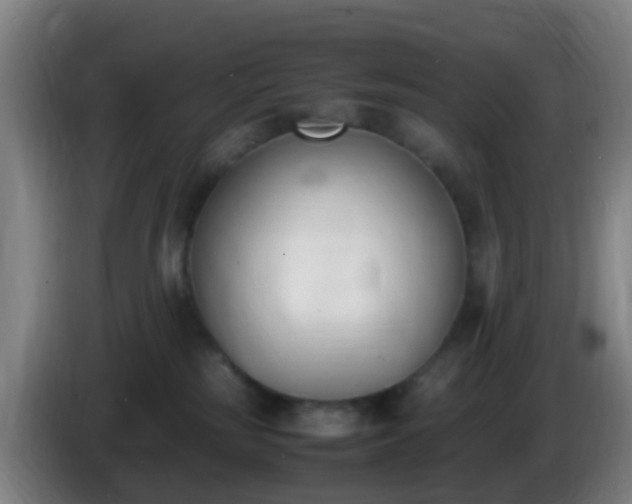 X0000086110185200703301245