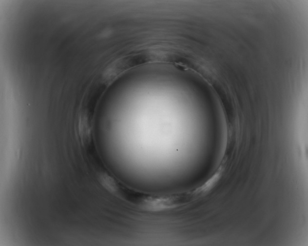 X0000086110186200703301245