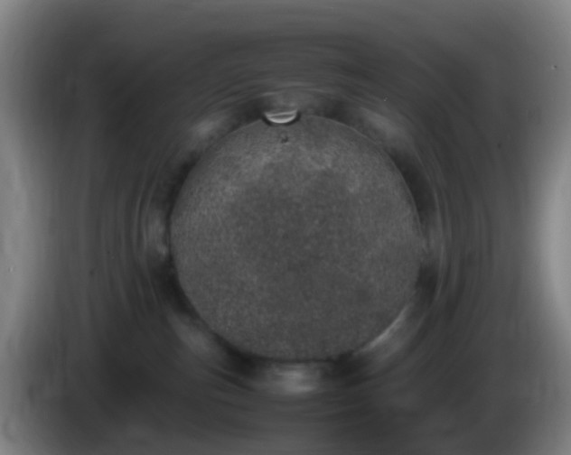 X0000086110187200703301245