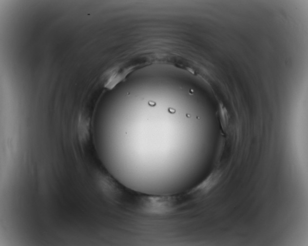 X0000086110188200703301245