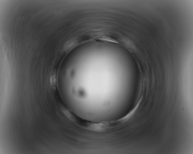 X0000086110190200703301245