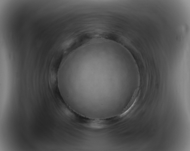 X0000086110192200703301245