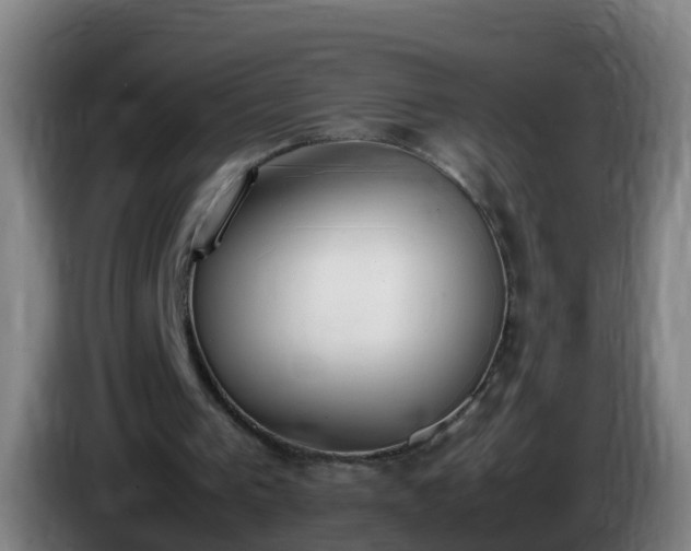 X0000086110193200703301244