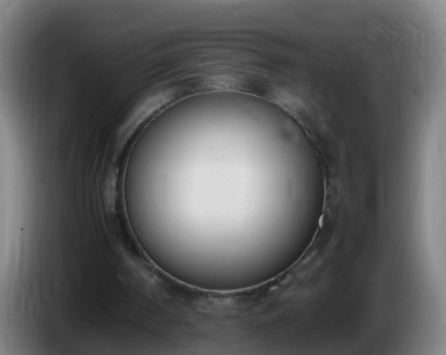 X0000086110194200703301244