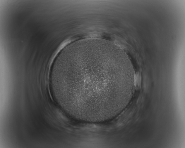 X0000086110195200703301244