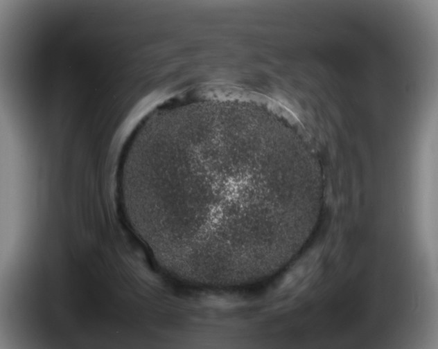 X0000086110199200703301244