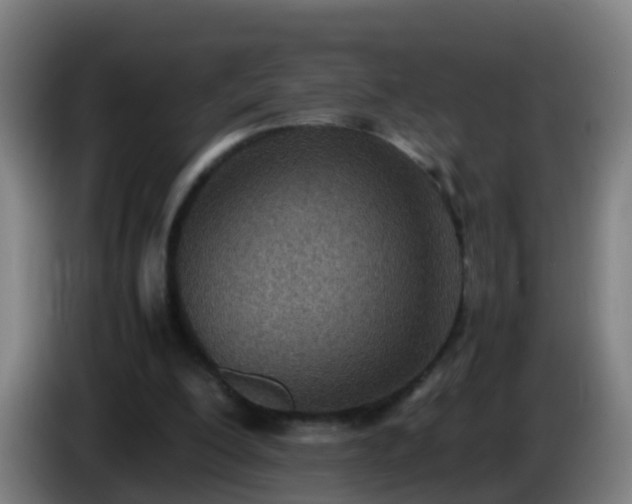 X0000086110200200703301244