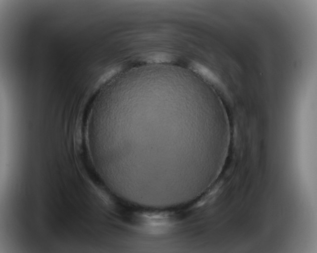 X0000086110202200703301244