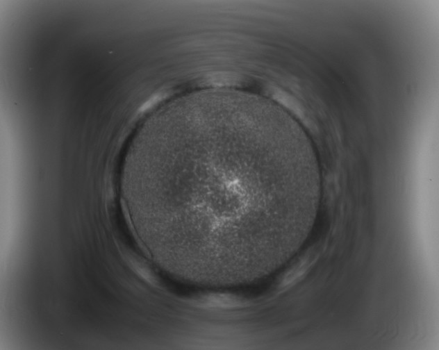 X0000086110203200703301244