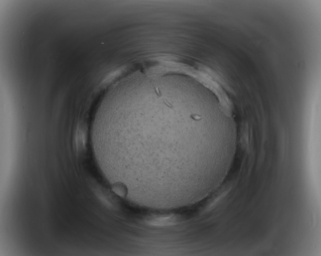 X0000086110206200703301244