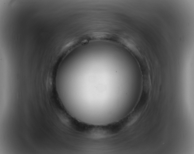 X0000086110207200703301244