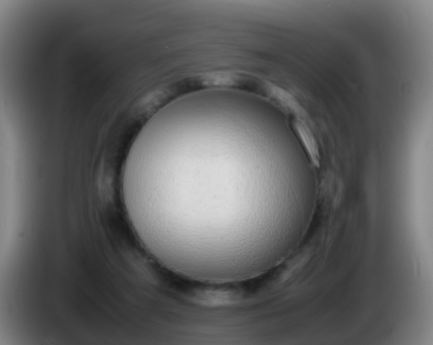 X0000086110209200703301244