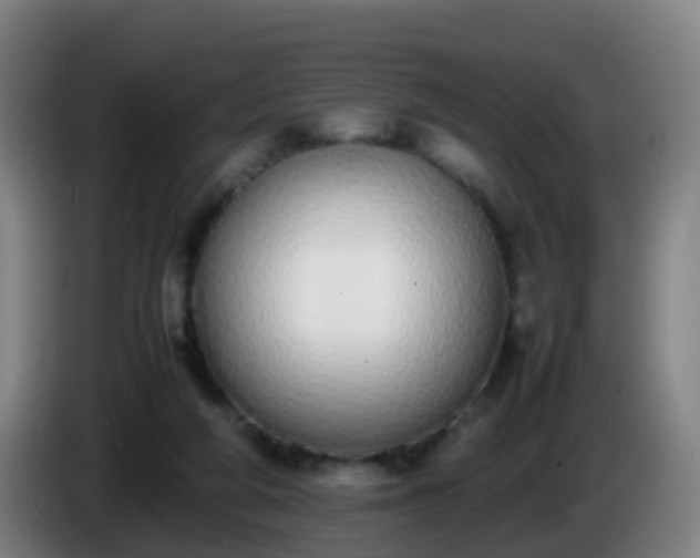 X0000086110210200703301244