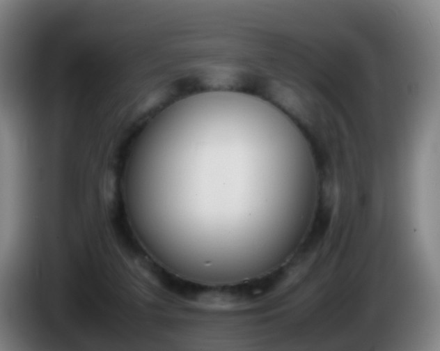 X0000086110211200703301244