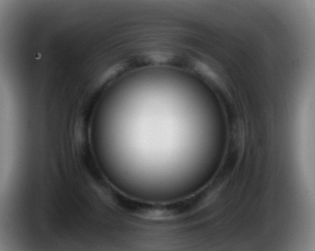 X0000086110212200703301244