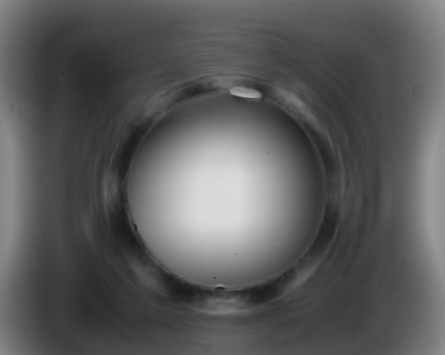 X0000086110213200703301244