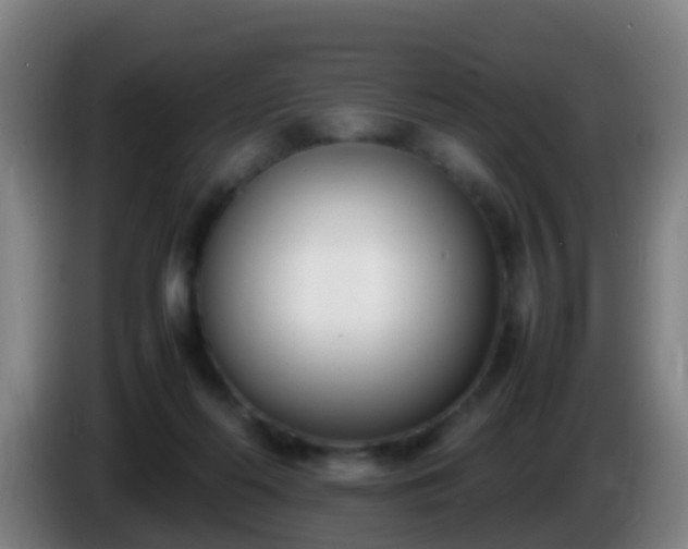 X0000086110214200703301244