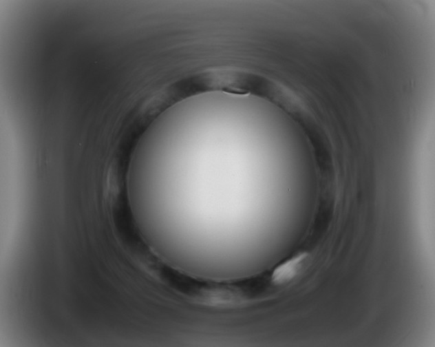 X0000086110215200703301244