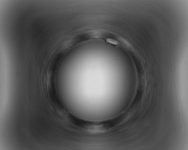 X0000086110217200703301244