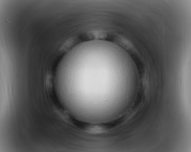 X0000086110218200703301244