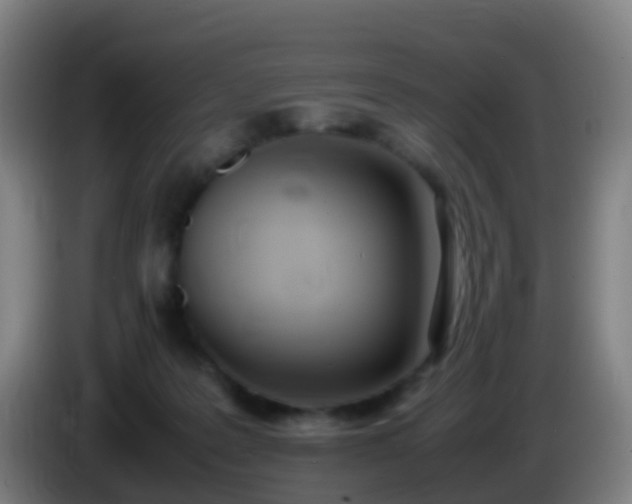 X0000086110219200703301244