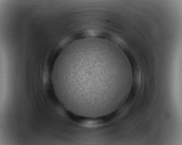 X0000086110220200703301244