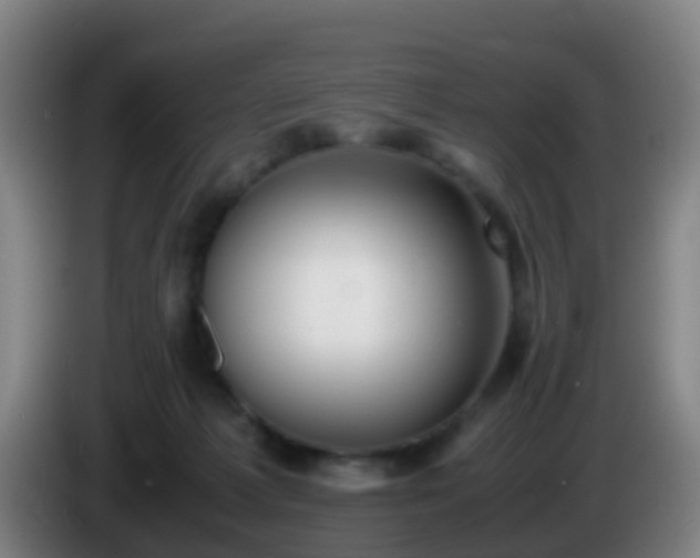 X0000086110221200703301244