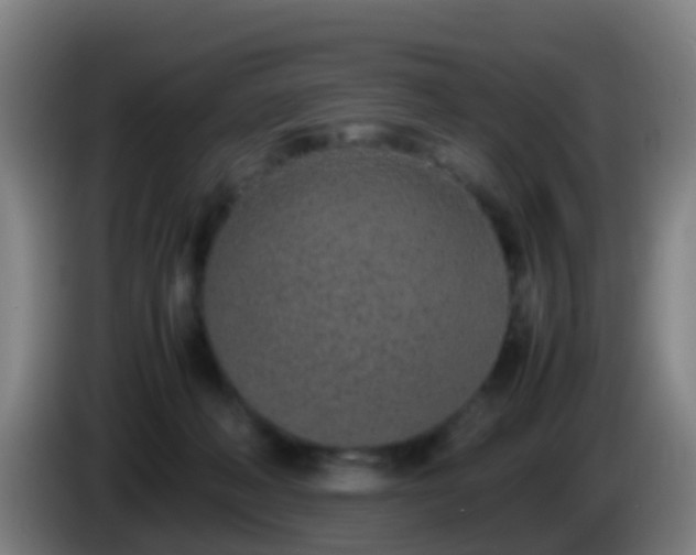 X0000086110222200703301244