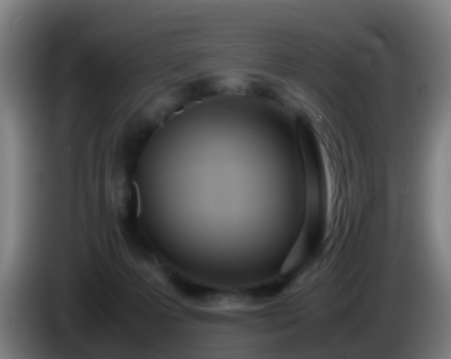 X0000086110223200703301244