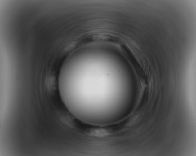 X0000086110224200703301244