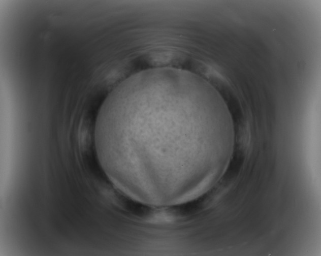 X0000086110226200703301244