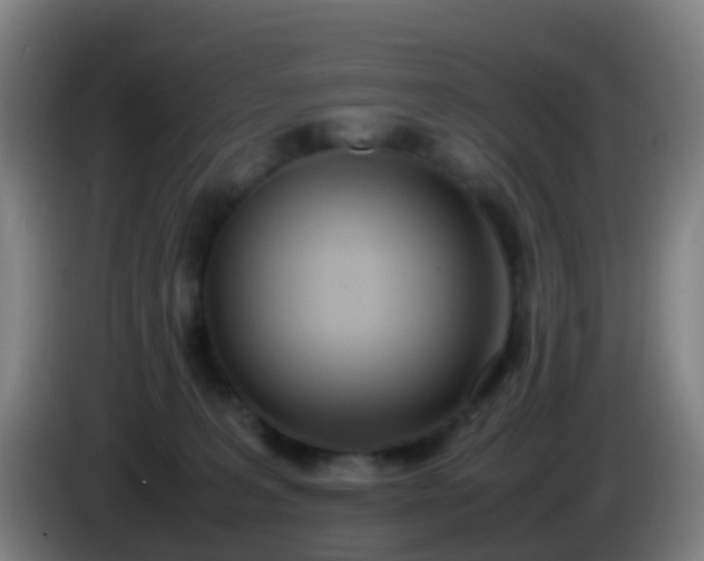 X0000086110227200703301244