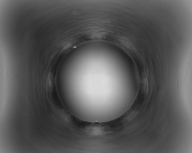 X0000086110228200703301244