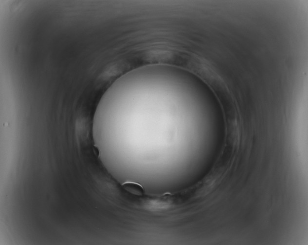 X0000086110232200703301244