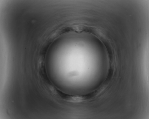 X0000086110233200703301244