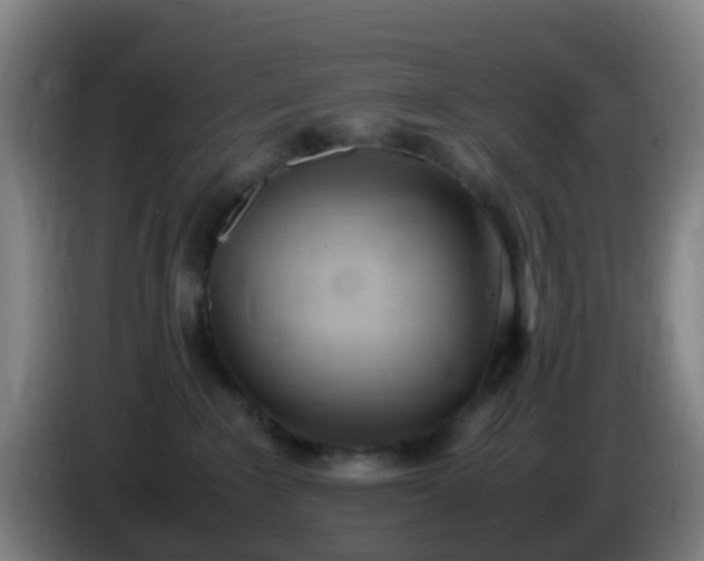 X0000086110235200703301244