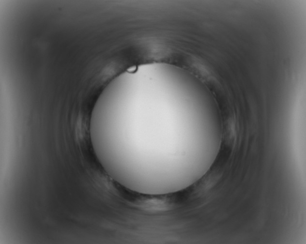 X0000086110236200703301244