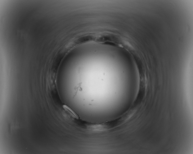 X0000086110237200703301244