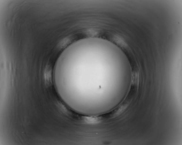 X0000086110238200703301244