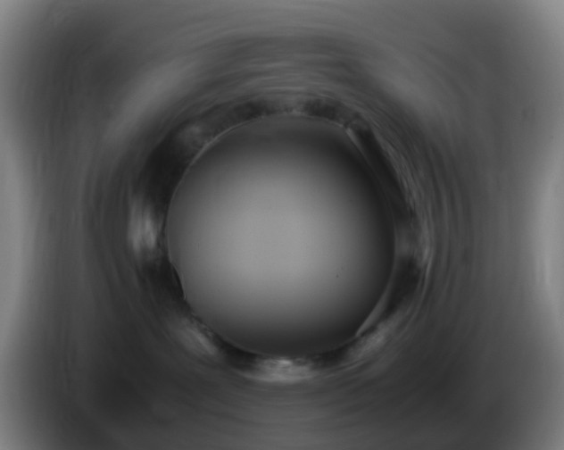 X0000086110239200703301244