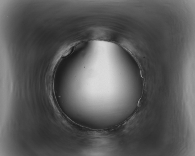 X0000086110241200703301243