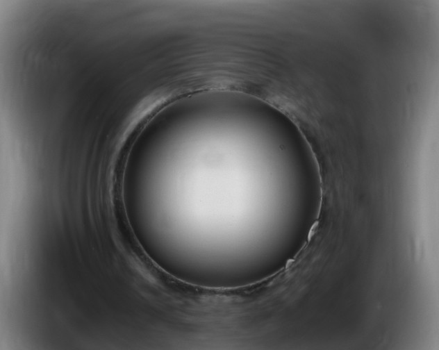 X0000086110242200703301243