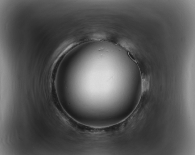 X0000086110243200703301243