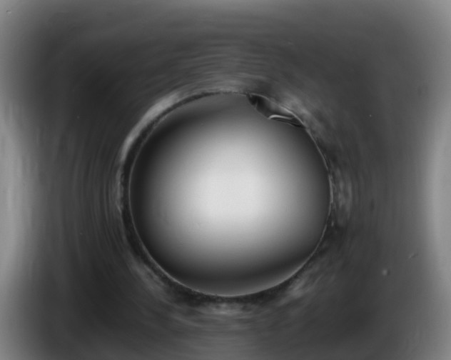 X0000086110244200703301243