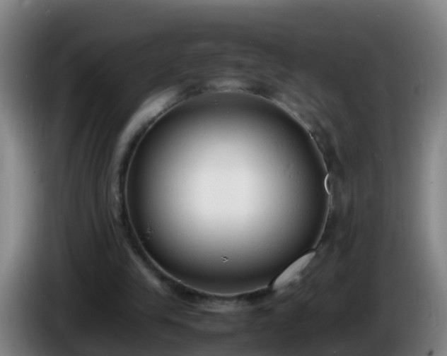 X0000086110245200703301243