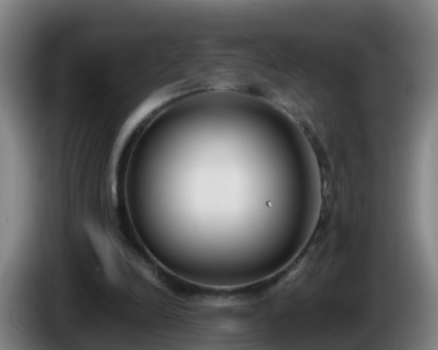 X0000086110246200703301243