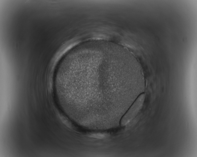 X0000086110247200703301243