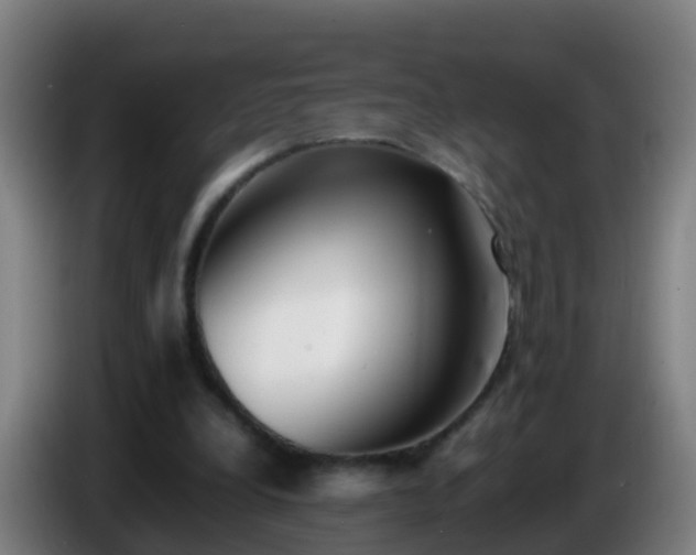 X0000086110248200703301243