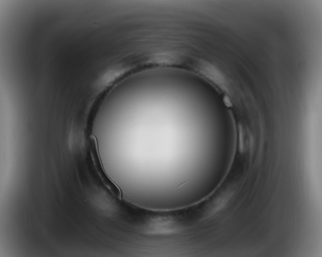 X0000086110252200703301243